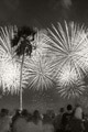 Citizenship on Australia Day - Peter Adams - Perth Wedding Photographer, Australian Wedding Photographer, International Destination Wedding Photographer, Memories of Tomorrow Photography