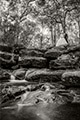 Post Wedding Photography / Shoot at Araluen Botanic Park | Peter Adams, Perth Wedding Photographer | Australian & Destination Wedding Photography by Memories of Tomorrow Photography