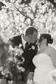 Wedding Photography at an orchard in Karragullen & the Rosehill Lodge in Guildford | Peter Adams, Pemberton Wedding Photographer | Australian & Destination Wedding Photography by Memories of Tomorrow Photography