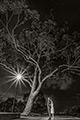 Wedding Photography at Blue Water Grill & Heathcote Reserve, Applecross | Peter Adams, Perth Wedding Photographer | Australian & Destination Wedding Photography by Memories of Tomorrow Photography