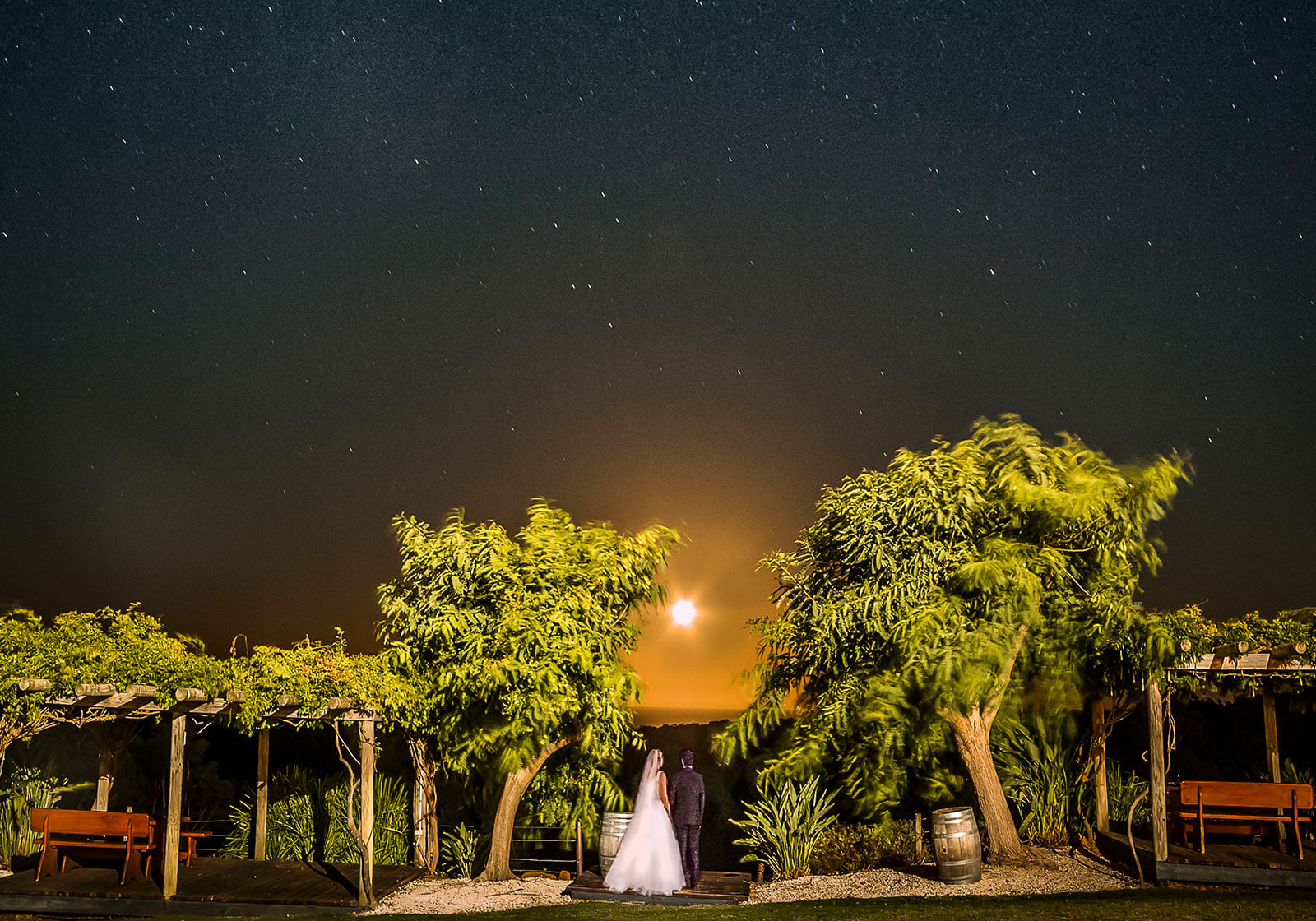 Wise Wines, Dunsborough Wedding Photography by Peter Adams-Shawn