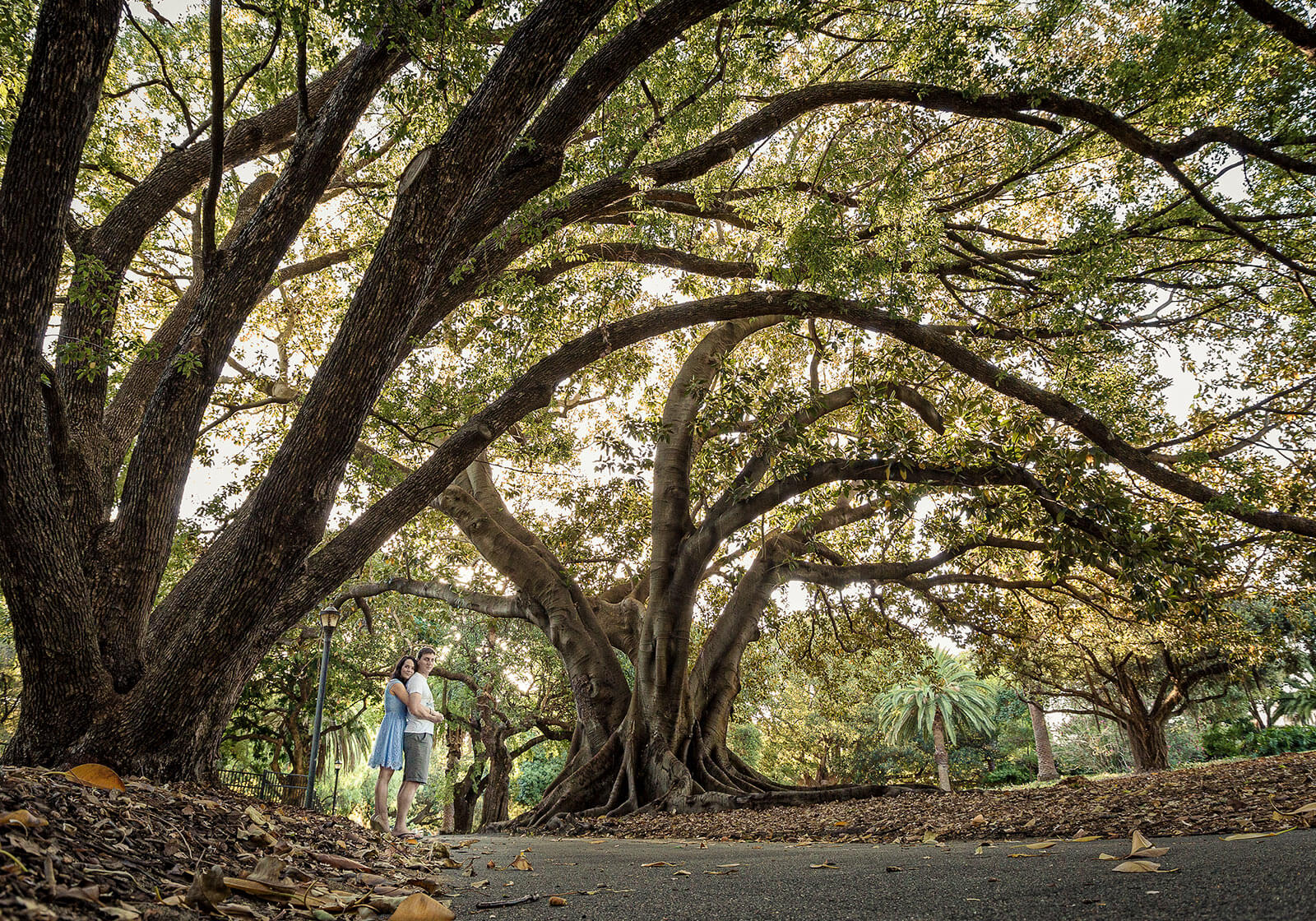 Engagement Photography at Hyde Park, Perth