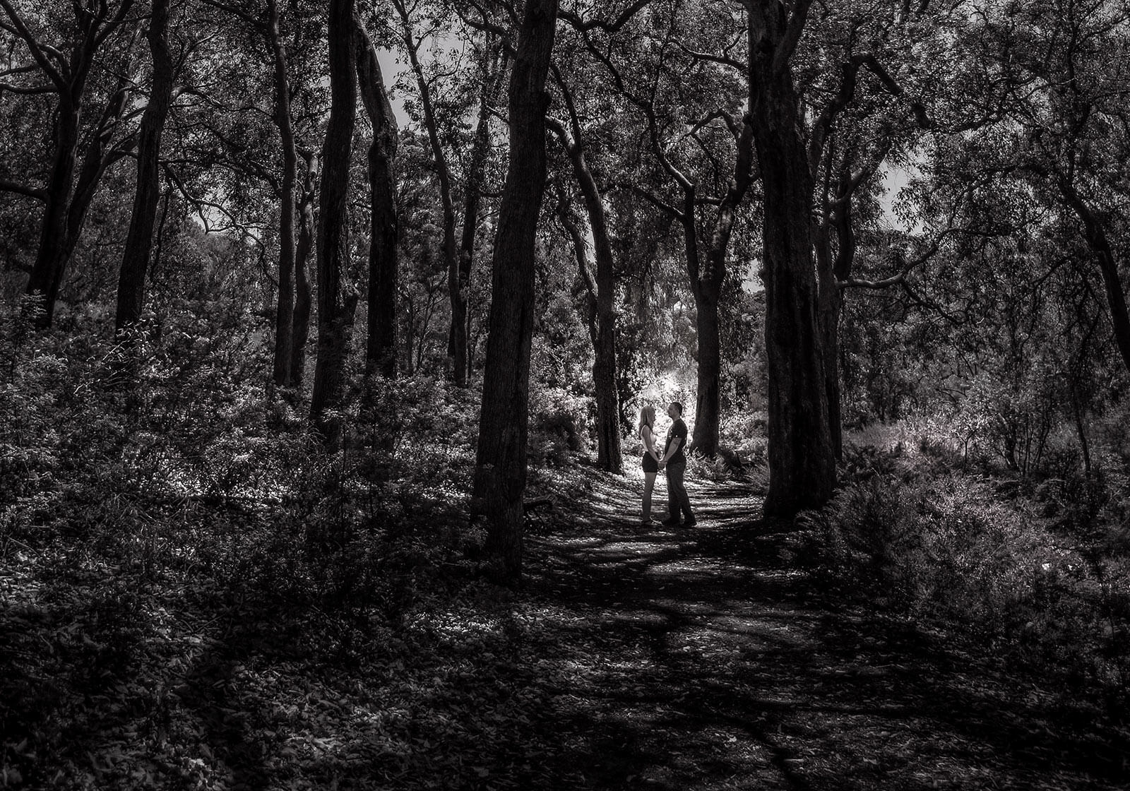 Engagement Photography at Kings Park, Perth