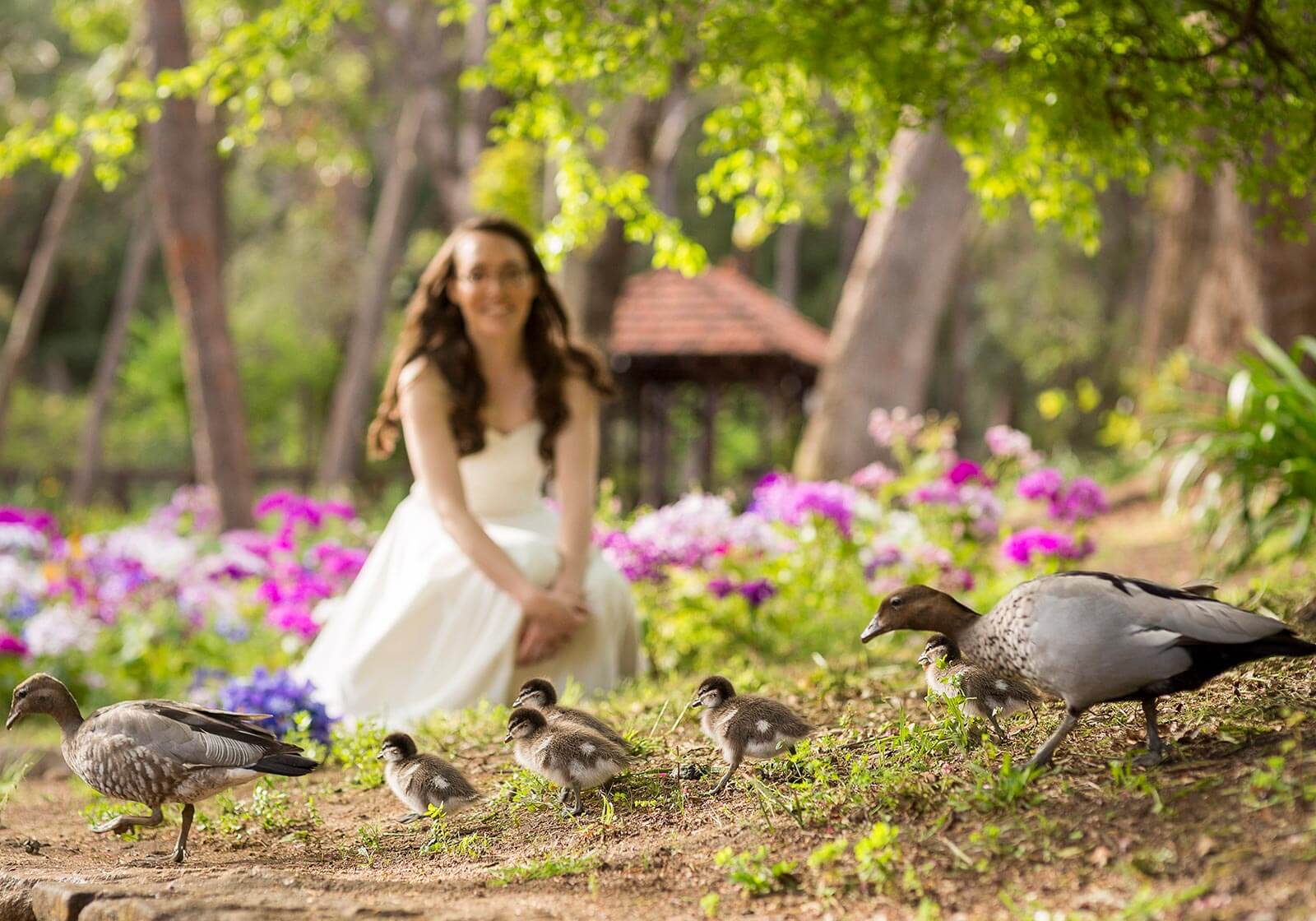 Araluen Botanic Gardens, Perth Wedding Photography by Peter Adams-Shawn