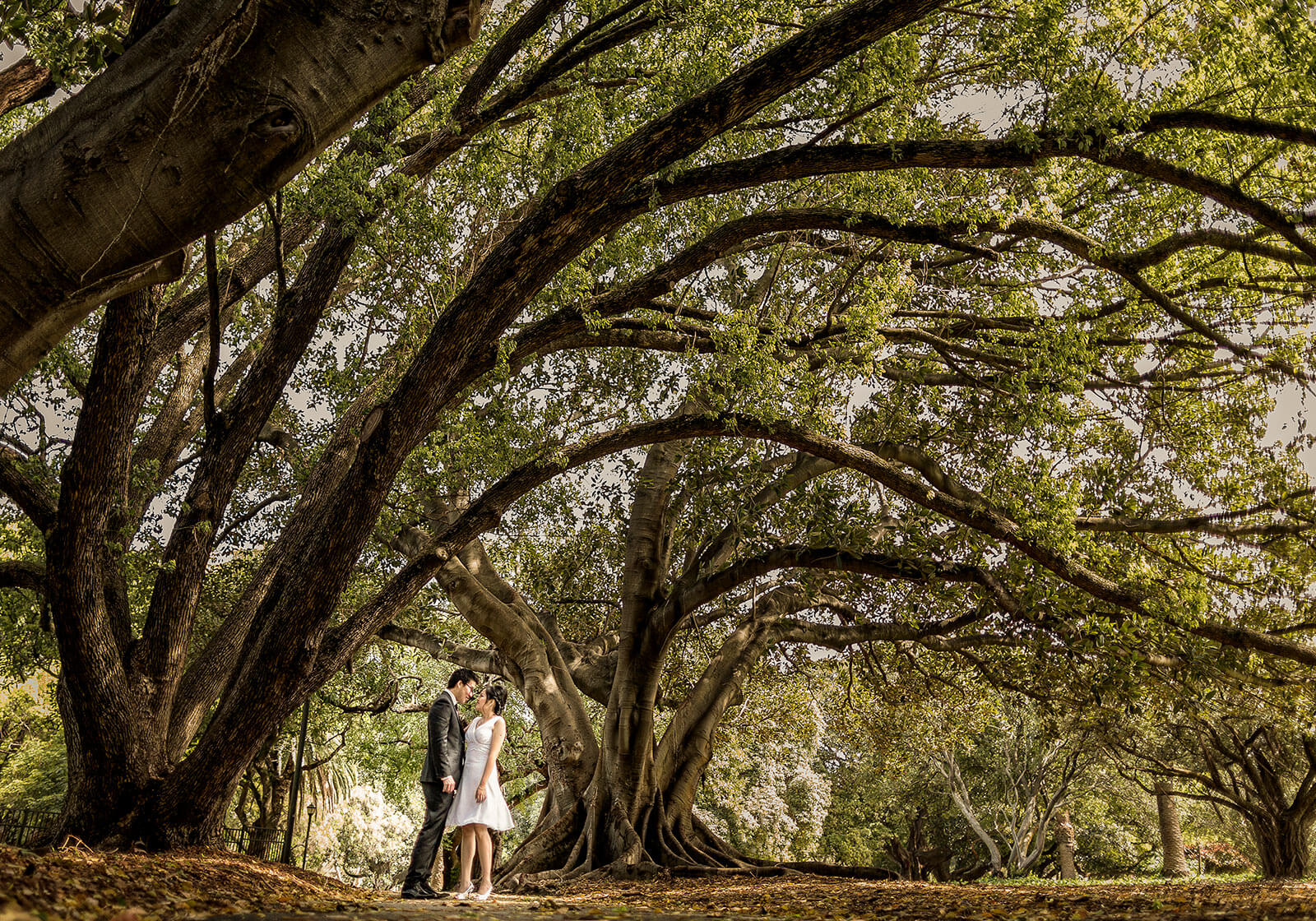 Hyde Park, Perth Wedding Photography by Peter Adams-Shawn