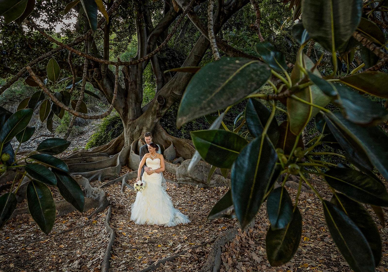 UWA, Perth Wedding Photography by Peter Adams-Shawn